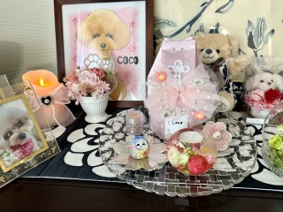 �R�R������