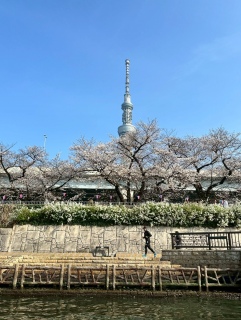 �X�J�C�c���[