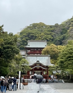 �߉������{