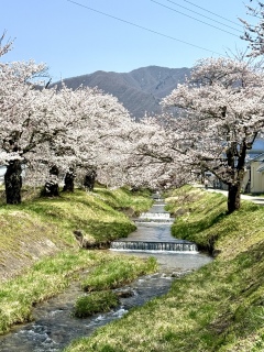 �ω�����̍�����🌸