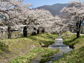 �f���炵��🌸