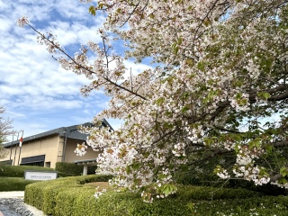 �܉Y���p��